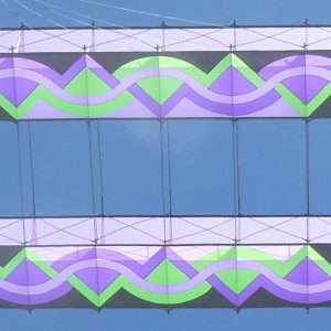 Six Celled Compound Hargraves: Green Mauves