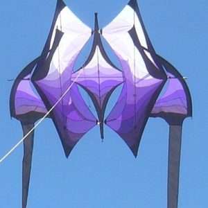 Personal Listeners: White / Purple